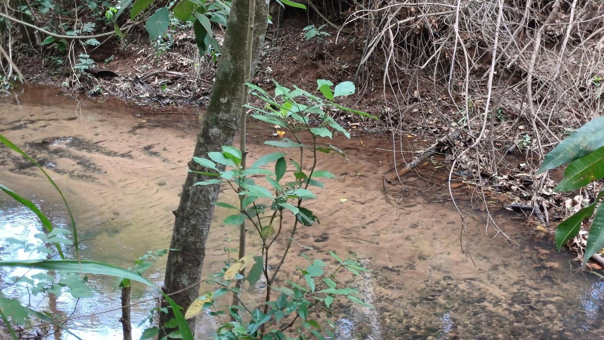 Sitio Encontro Das Aguas Brotas São Paulo Luaran gambar